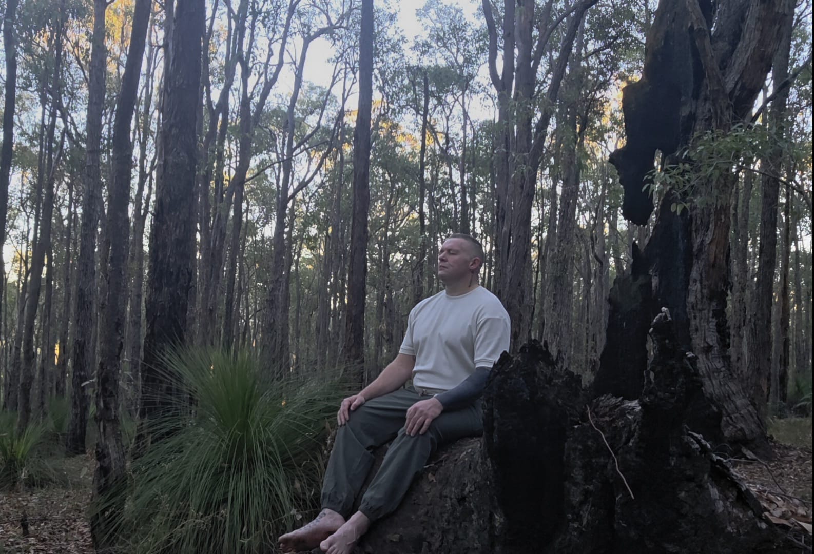 A moment of stillness